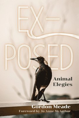 Gordon Meade - Ex-Posed, Inbunden. Tillgänglighet: Lägg i varukorg