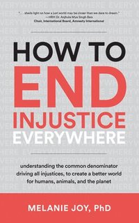 bokomslag How to End Injustice Everywhere
