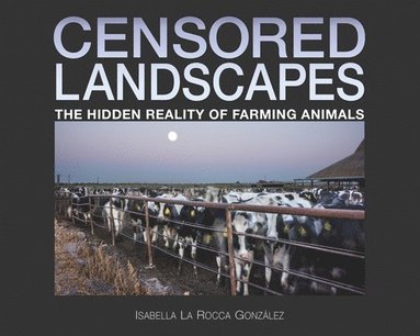 bokomslag Censored Landscapes