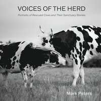 bokomslag Voices of the Herd: Portraits of Rescued Cows and Their Sanctuary Stories