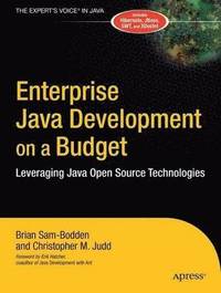 bokomslag Enterprise Java Development on a Budget: Leveraging Java Open Source Technologies