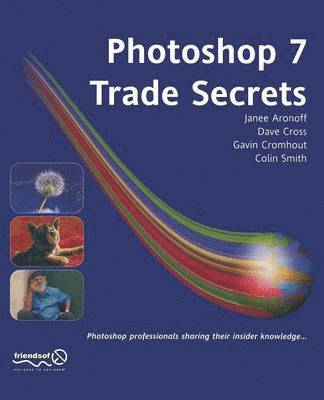 bokomslag Photoshop 7 Trade Secrets