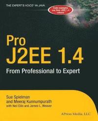 bokomslag Professional J2EE 1.4: From Professional to Expert