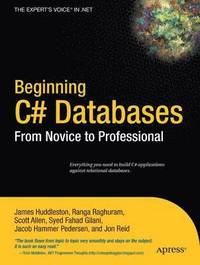 bokomslag Beginning C# Databases