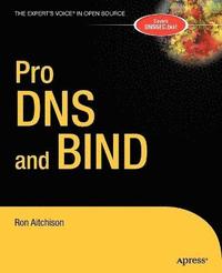 bokomslag Pro DNS & BIND