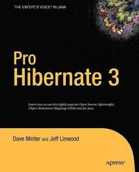 bokomslag Pro Hibernate 3