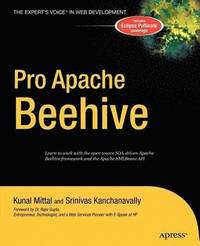 bokomslag Pro Apache Beehive
