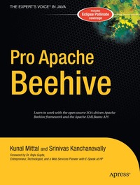 bokomslag Pro Apache Beehive