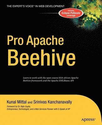 Srinivas Kanchanavally, Kunal Mittal - Pro Apache Beehive, Inbunden