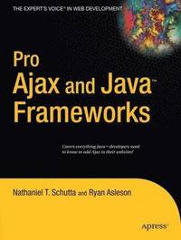 bokomslag Pro Ajax & Java Frameworks