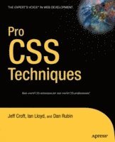 bokomslag Pro CSS Techniques
