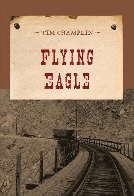 Flying Eagle 1