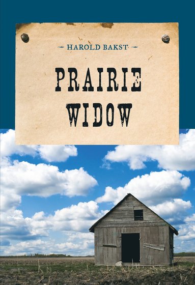 bokomslag Prairie Widow