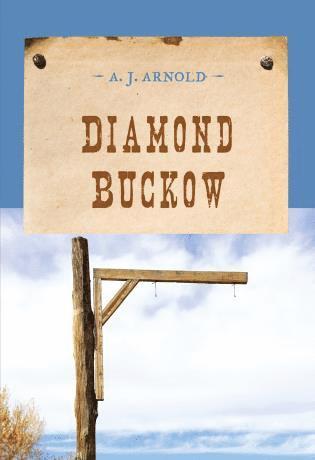 bokomslag Diamond Buckow