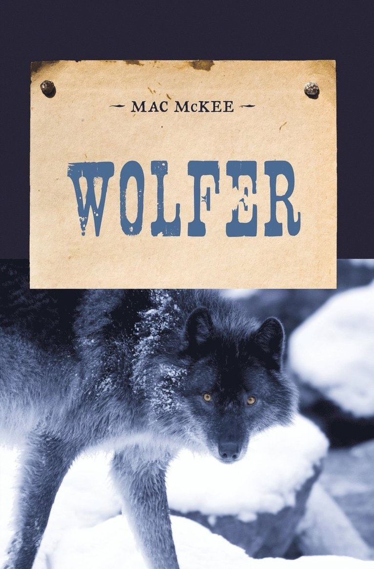 Wolfer 1