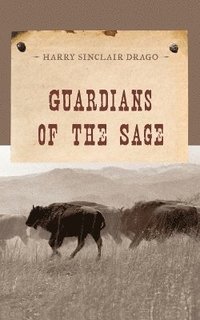 bokomslag Guardians of the Sage