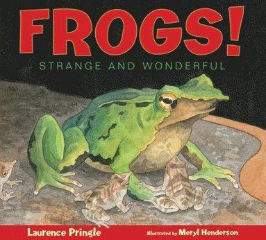 bokomslag Frogs!