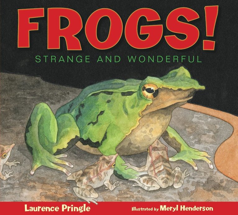 Frogs!