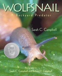 bokomslag Wolfsnail