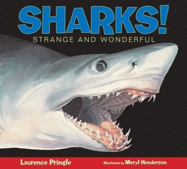bokomslag Sharks!
