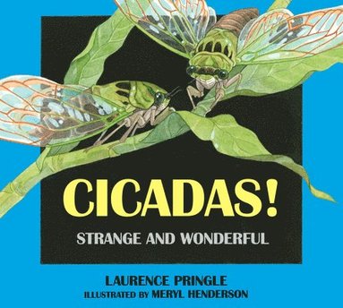 bokomslag Cicadas!