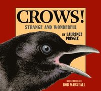 bokomslag Crows!