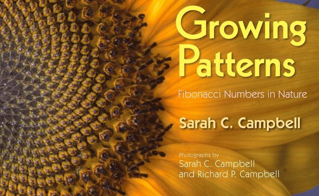 Growing Patterns 1