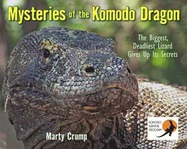 bokomslag Mysteries of the Komodo Dragon