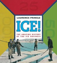 bokomslag Ice! The Amazing History