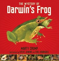 bokomslag Mystery of Darwin's Frog