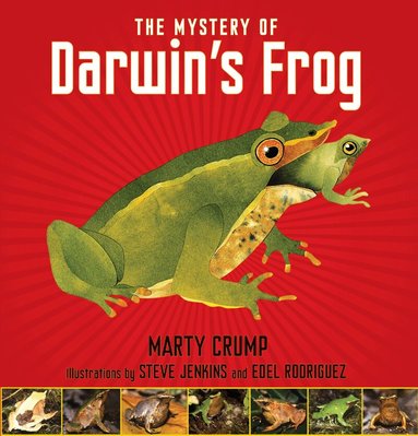 Marty Crump - Mystery of Darwin's Frog, Inbunden