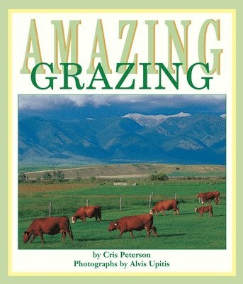 bokomslag Amazing Grazing