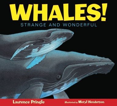 bokomslag Whales!