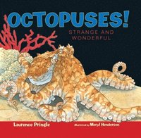 bokomslag Octopuses!