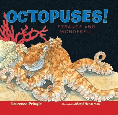 bokomslag Octopuses!