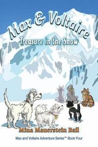 bokomslag Max and Voltaire Treasure in the Snow