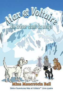bokomslag Max et Voltaire Un trésor dans la neige