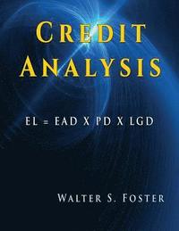 bokomslag Credit Analysis