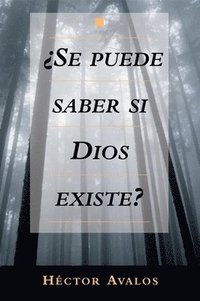 bokomslag Se Puede Saber Si Dios Existe?