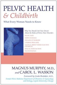 bokomslag Pelvic Health and Childbirth