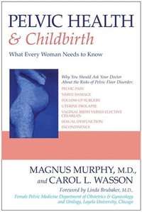 bokomslag Pelvic Health & Childbirth