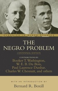bokomslag The Negro Problem