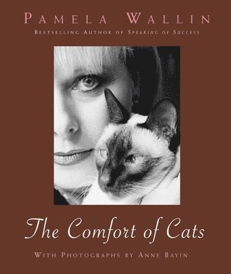 bokomslag Comfort of Cats