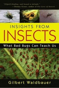 bokomslag Insights From Insects