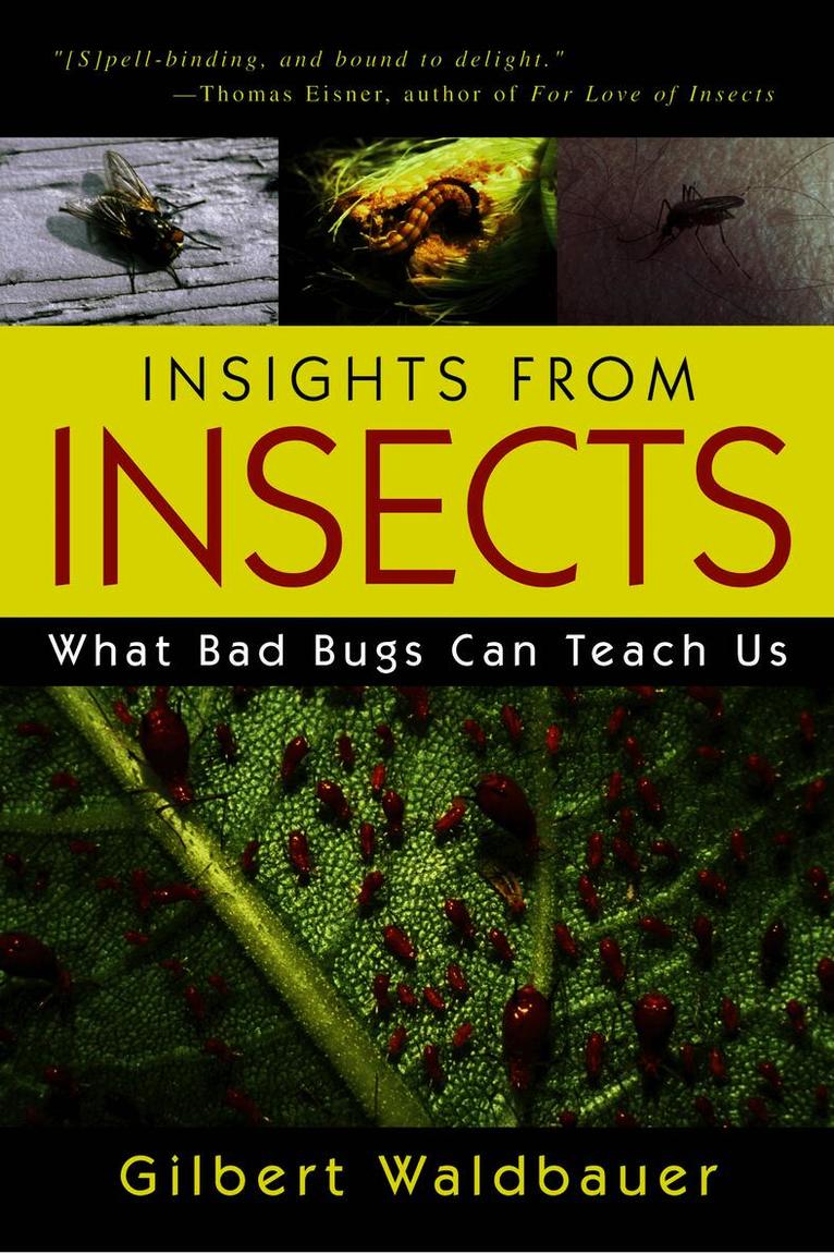 Insights From Insects