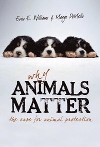 bokomslag Why Animals Matter