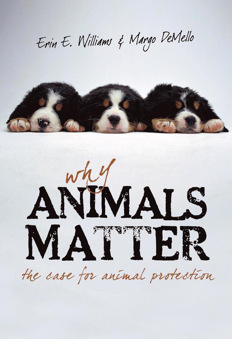 Why Animals Matter 1