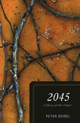Peter Seidel - 2045, Häftad