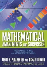 bokomslag Mathematical Amazements and Surprises