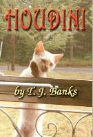 T.J. Banks, T. J. Banks, T J Banks - Houdini, Inbunden